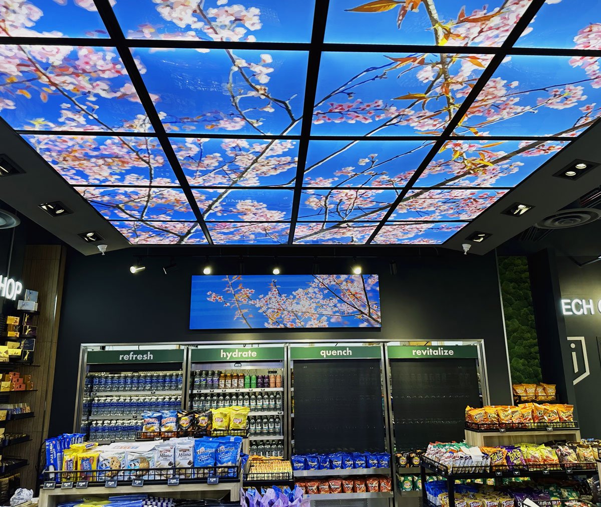 cherry-blossom-ceiling