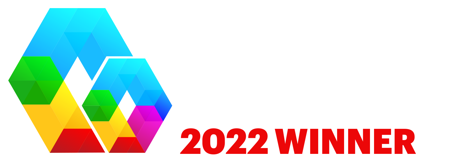 DSE Award Winner Logo 2022-2